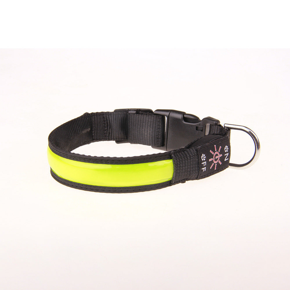 Aufladbare LED Hundehalsband