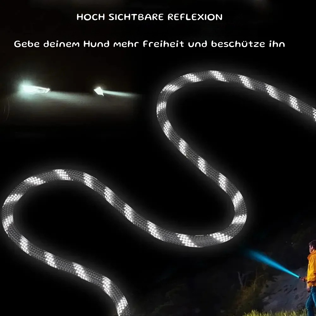 Bunte Hundeleine aus robustem Kletterseil