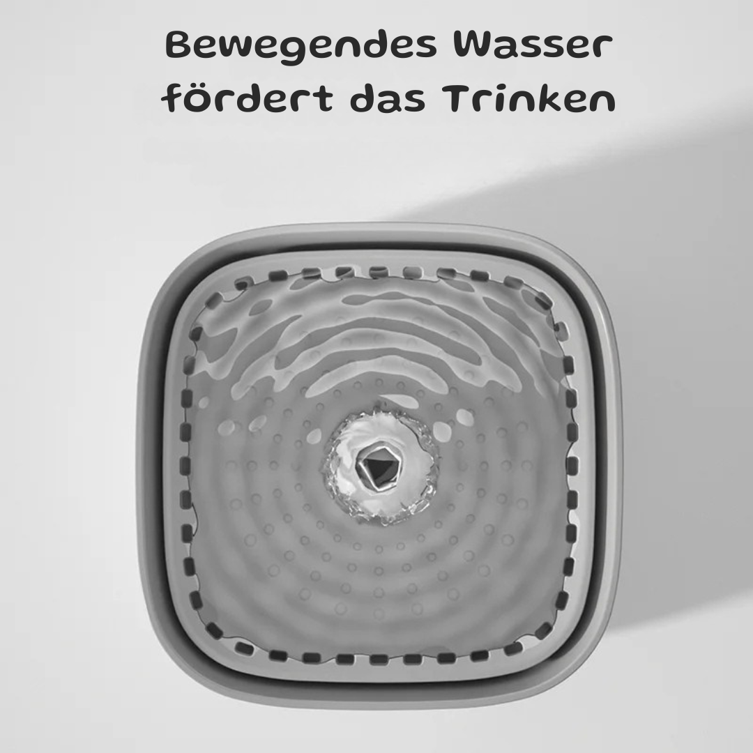 Eleganter Trinkbrunnen für Katzen und Hunde
