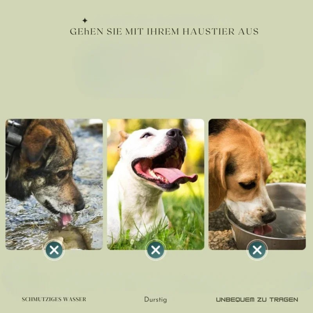 Faltbarer Hundenapf für unterwegs