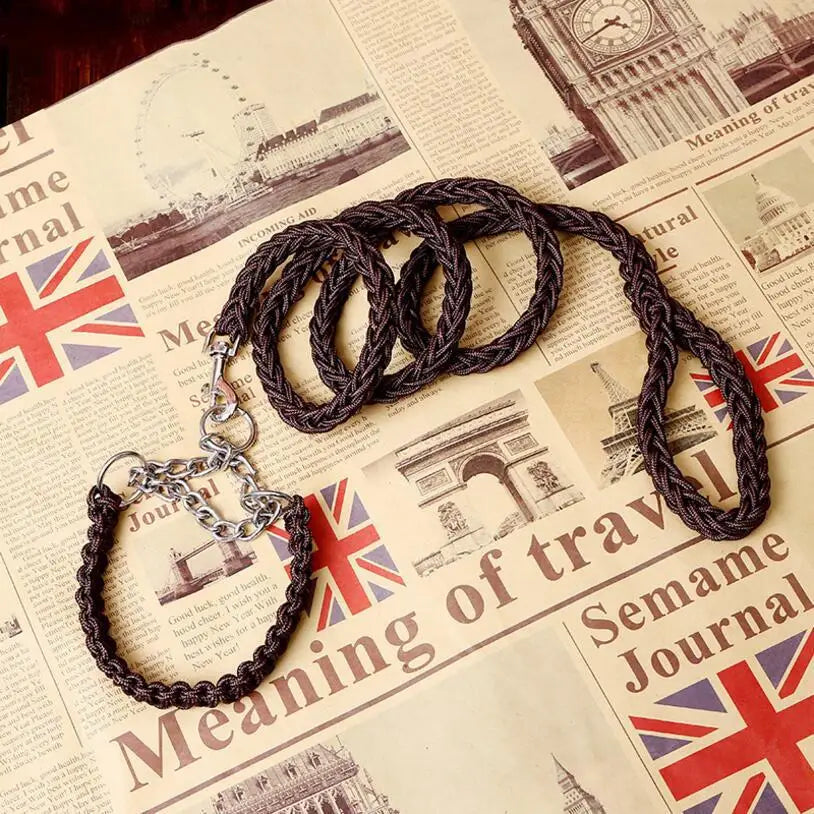 Robuste Hundeleine im geflochtenen Design