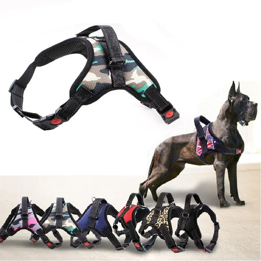 Ergonomisches Hundegeschirr – Perfekter Halt & Komfort für Ihren Vierbeiner