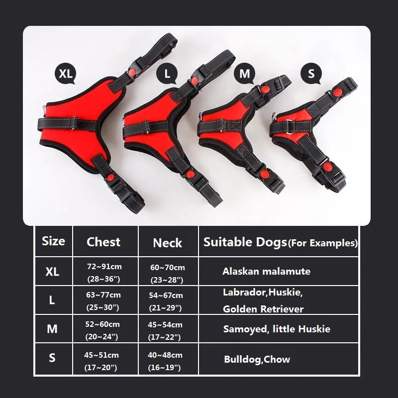 Ergonomisches Hundegeschirr – Perfekter Halt & Komfort für Ihren Vierbeiner