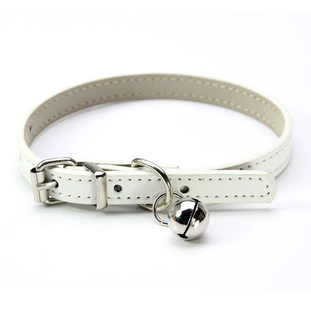 Buntes Katzenhalsband mit Glocke – Stilvoll, Sicher & Bequem