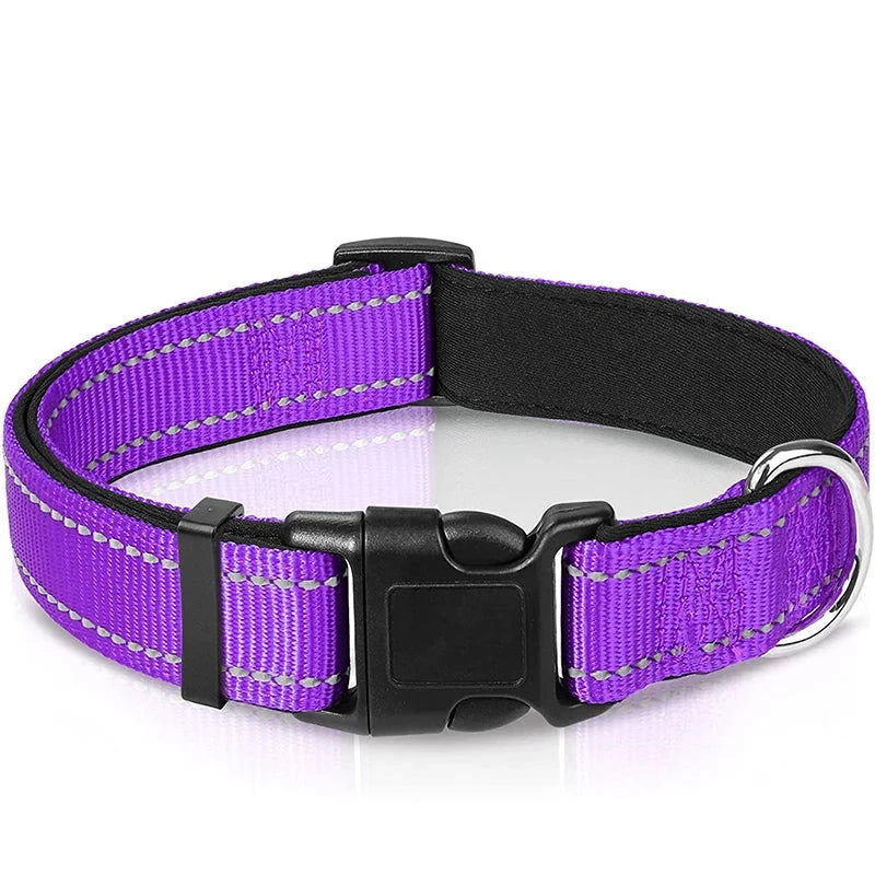Verstellbares Hundehalsband – Stilvoll, robust & sicher