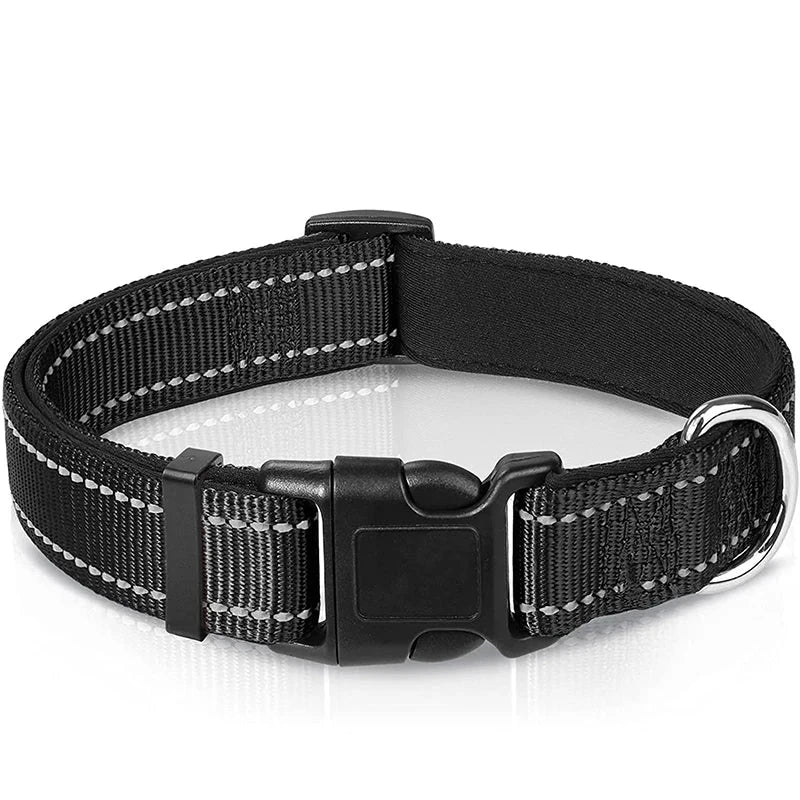 Verstellbares Hundehalsband – Stilvoll, robust & sicher