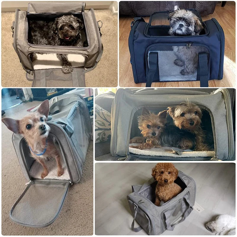 Comfortable transport bag for dogs & cats