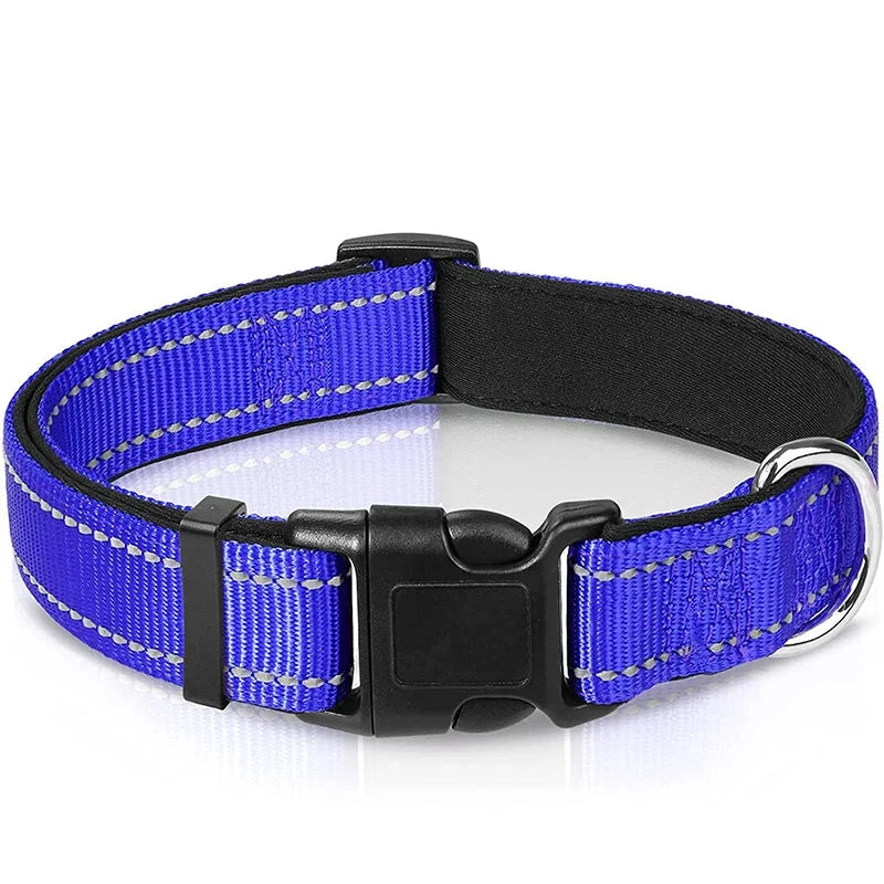 Verstellbares Hundehalsband – Stilvoll, robust & sicher