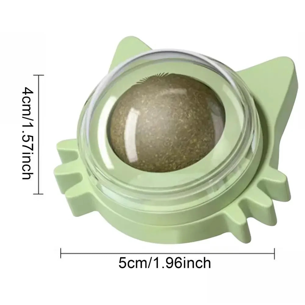 Katzen-Minze Wandball