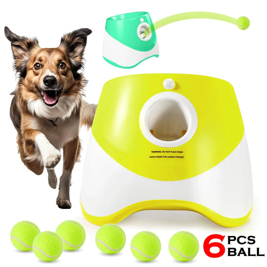 Automatischer Ballwurfautomat für Hunde