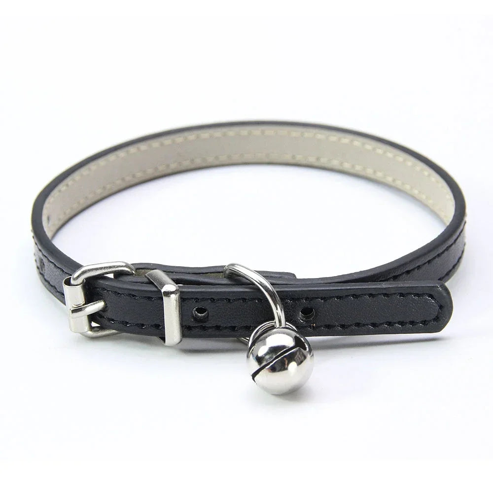 Buntes Katzenhalsband mit Glocke – Stilvoll, Sicher & Bequem