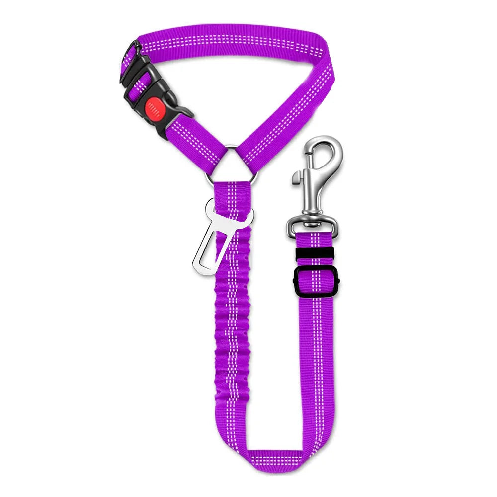 Sicherheitsgurt für Hunde