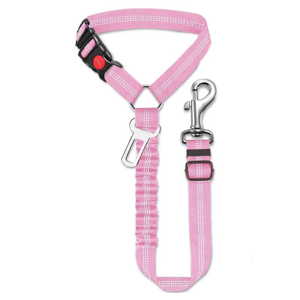Sicherheitsgurt für Hunde