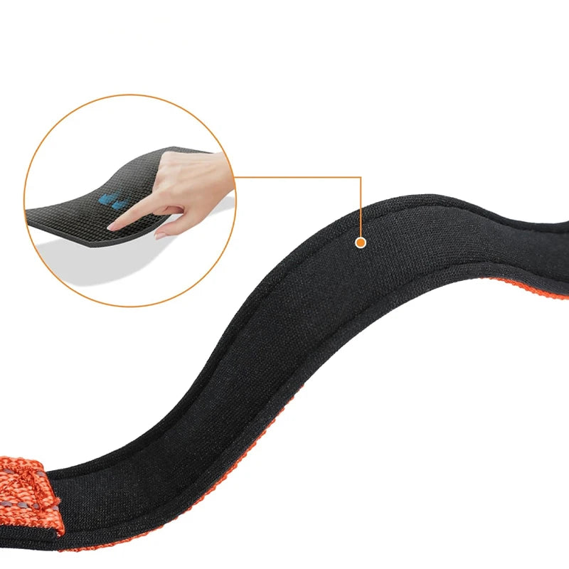 Verstellbares Hundehalsband – Stilvoll, robust & sicher