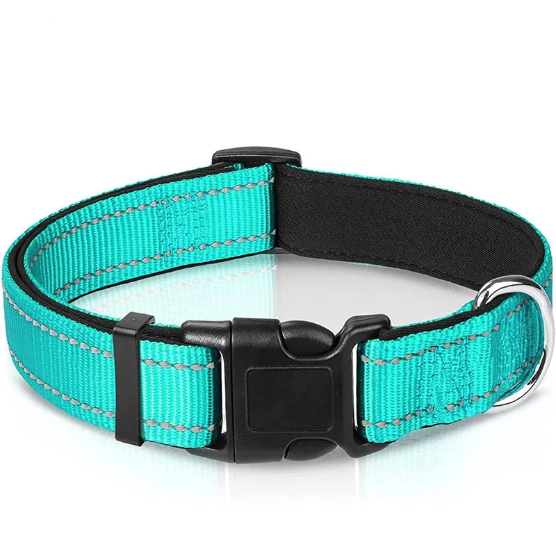 Verstellbares Hundehalsband – Stilvoll, robust & sicher