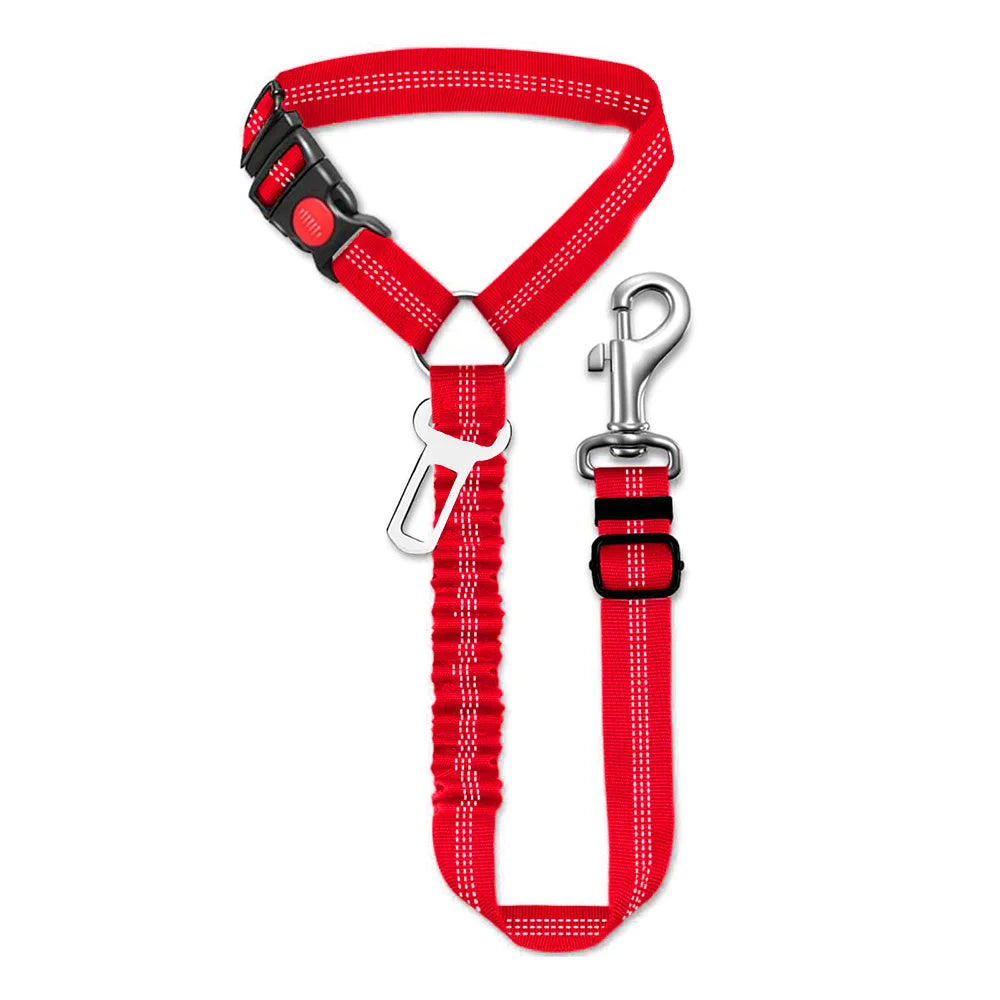 Sicherheitsgurt für Hunde