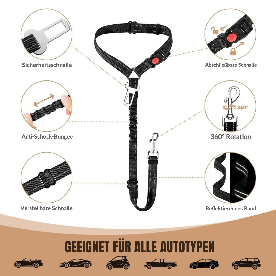 Sicherheitsgurt für Hunde