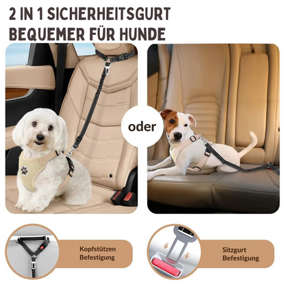 Sicherheitsgurt für Hunde