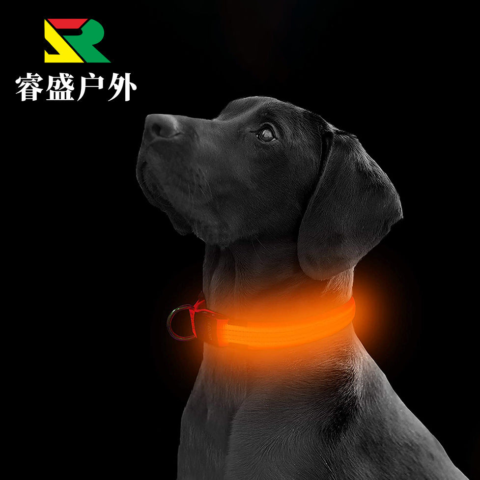 Aufladbare LED Hundehalsband