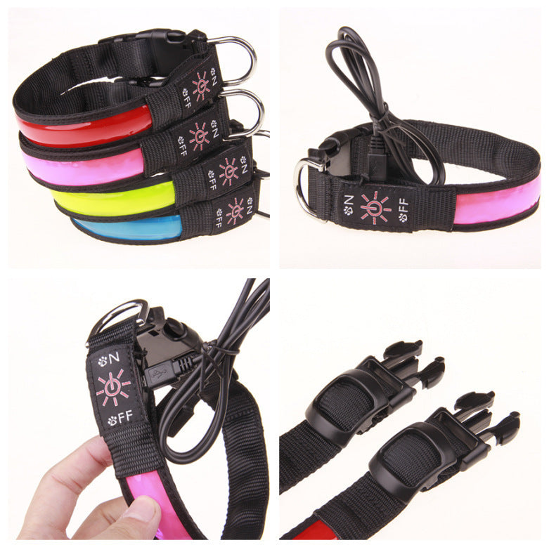 Aufladbare LED Hundehalsband