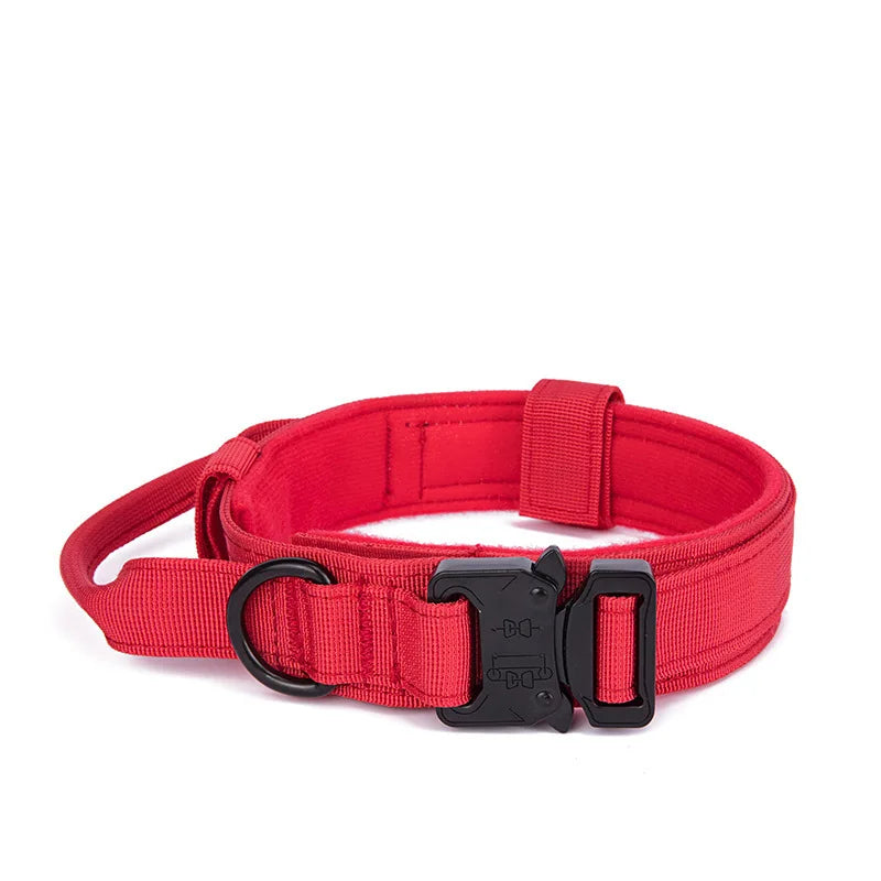 Taktisches Hundehalsband mit passender Leine