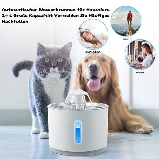 Automatischer Haustier-Wasserbrunnen – Frisches Wasser für glückliche Vierbeiner