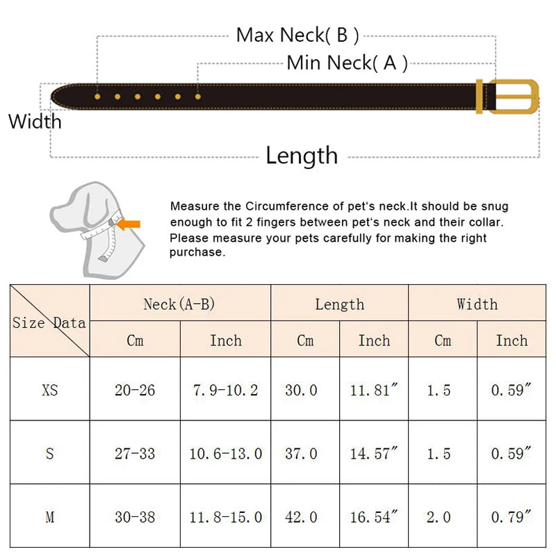 Hochwertiges Lederhalsband für Hunde – Stilvoll, Robust &amp; Komfortabel
