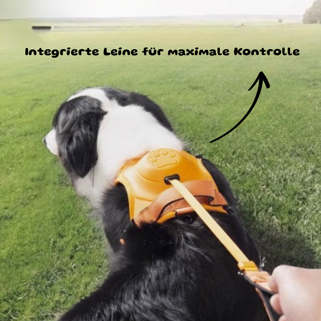 Ergonomisches Hundegeschirr mit integrierter Leine & Schutzpolster