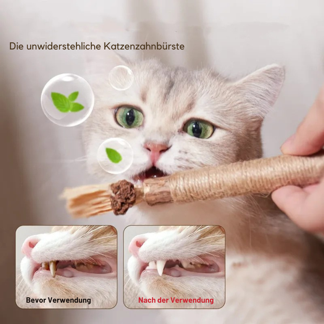 Kauspielzeug aus Matatabi für Katzen