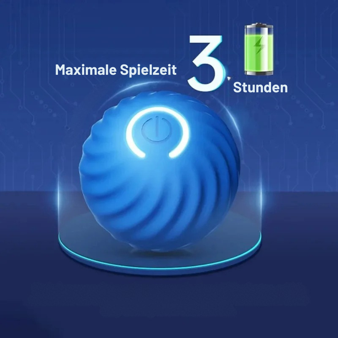Interaktiver Elektronischer Hundeball