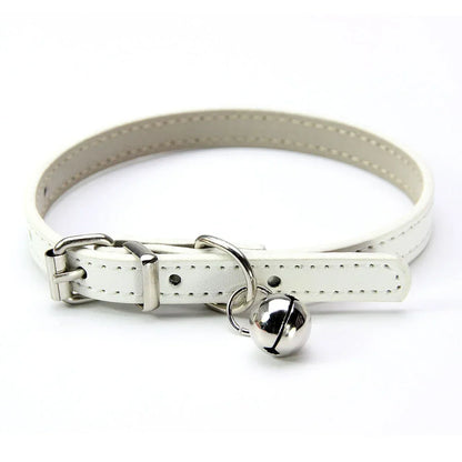 Buntes Katzenhalsband mit Glocke – Stilvoll, Sicher &amp; Bequem