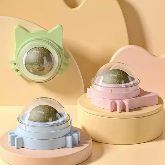 Katzen-Minze Wandball