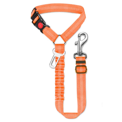 Sicherheitsgurt für Hunde