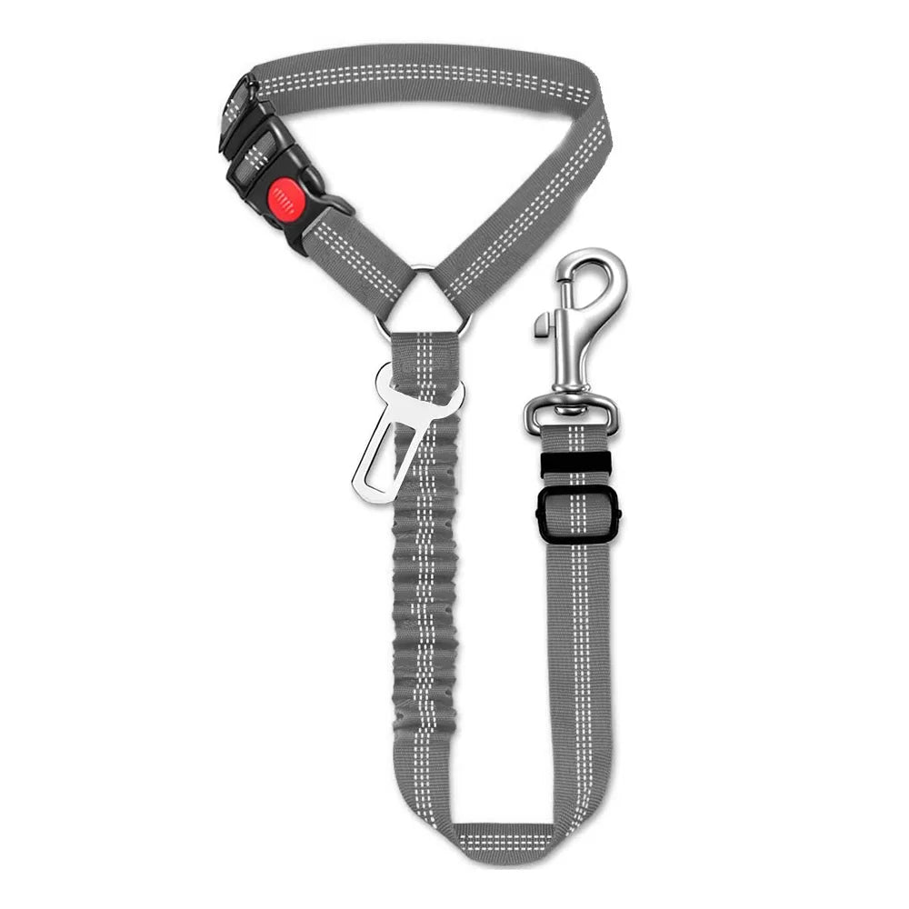 Sicherheitsgurt für Hunde