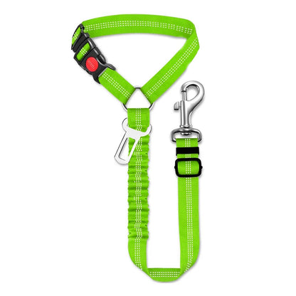 Sicherheitsgurt für Hunde