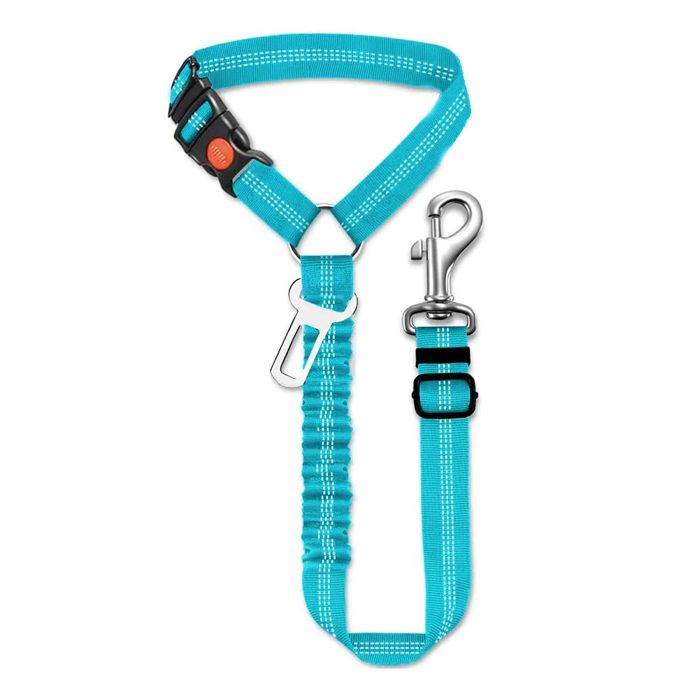 Sicherheitsgurt für Hunde