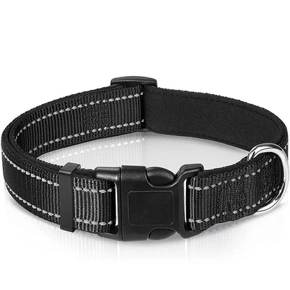 Verstellbares Hundehalsband – Stilvoll, robust & sicher