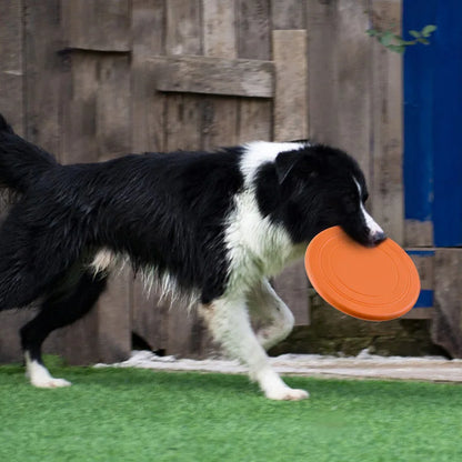 Bunte Hundefrisbee