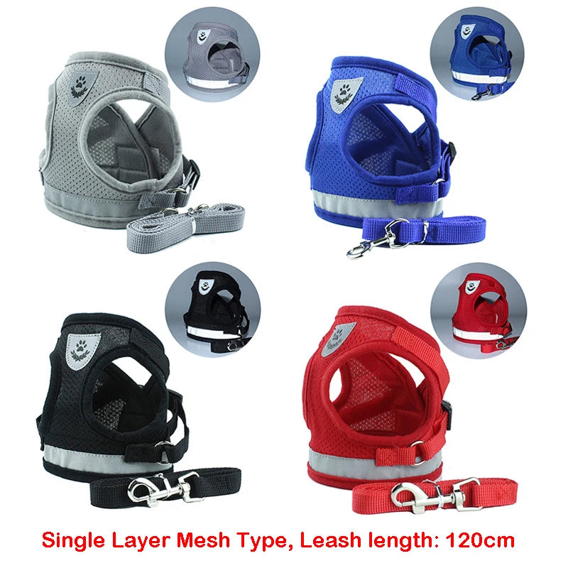 Atmungsaktives Hundegeschirr inkl. Leine