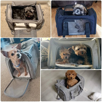 Comfortable transport bag for dogs &amp; cats 