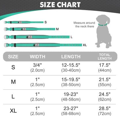 Komfortables Hundehalsband – Stilvoll, robust &amp; sicher