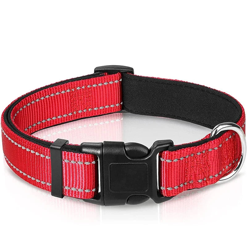 Verstellbares Hundehalsband – Stilvoll, robust & sicher