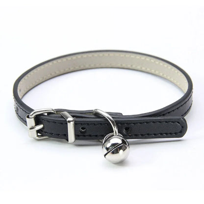 Buntes Katzenhalsband mit Glocke – Stilvoll, Sicher &amp; Bequem