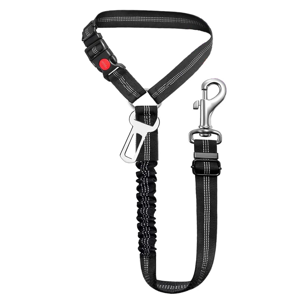 Sicherheitsgurt für Hunde