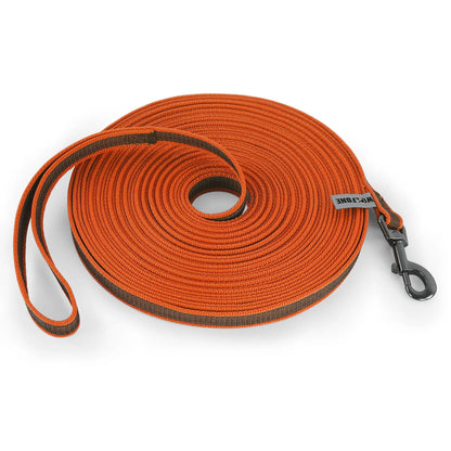 Langlebige Hundeleine in leuchtenden Farben