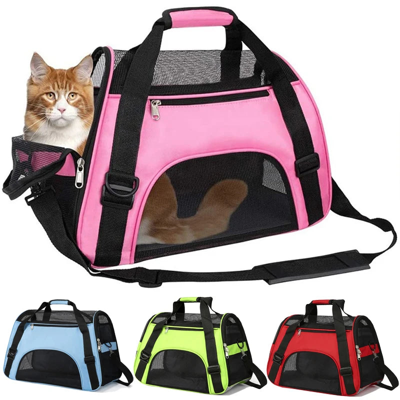 Stylish pet carrier – comfort &amp; safety on the go!