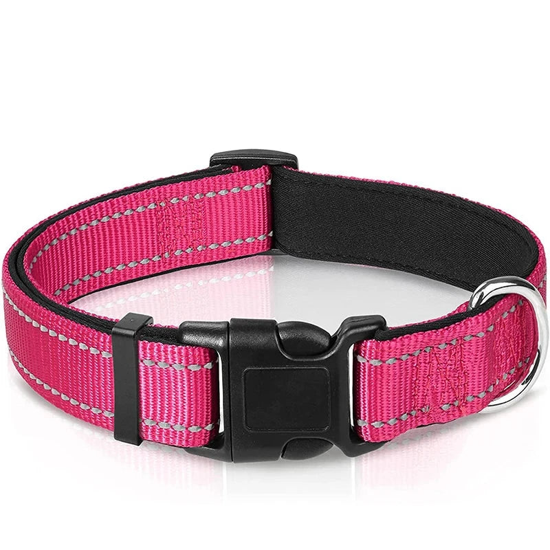 Verstellbares Hundehalsband – Stilvoll, robust & sicher