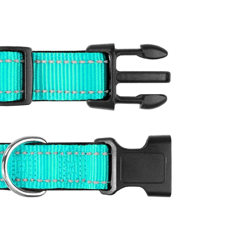 Verstellbares Hundehalsband – Stilvoll, robust & sicher