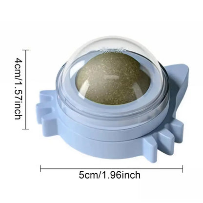 Katzen-Minze Wandball