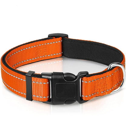 Verstellbares Hundehalsband – Stilvoll, robust & sicher